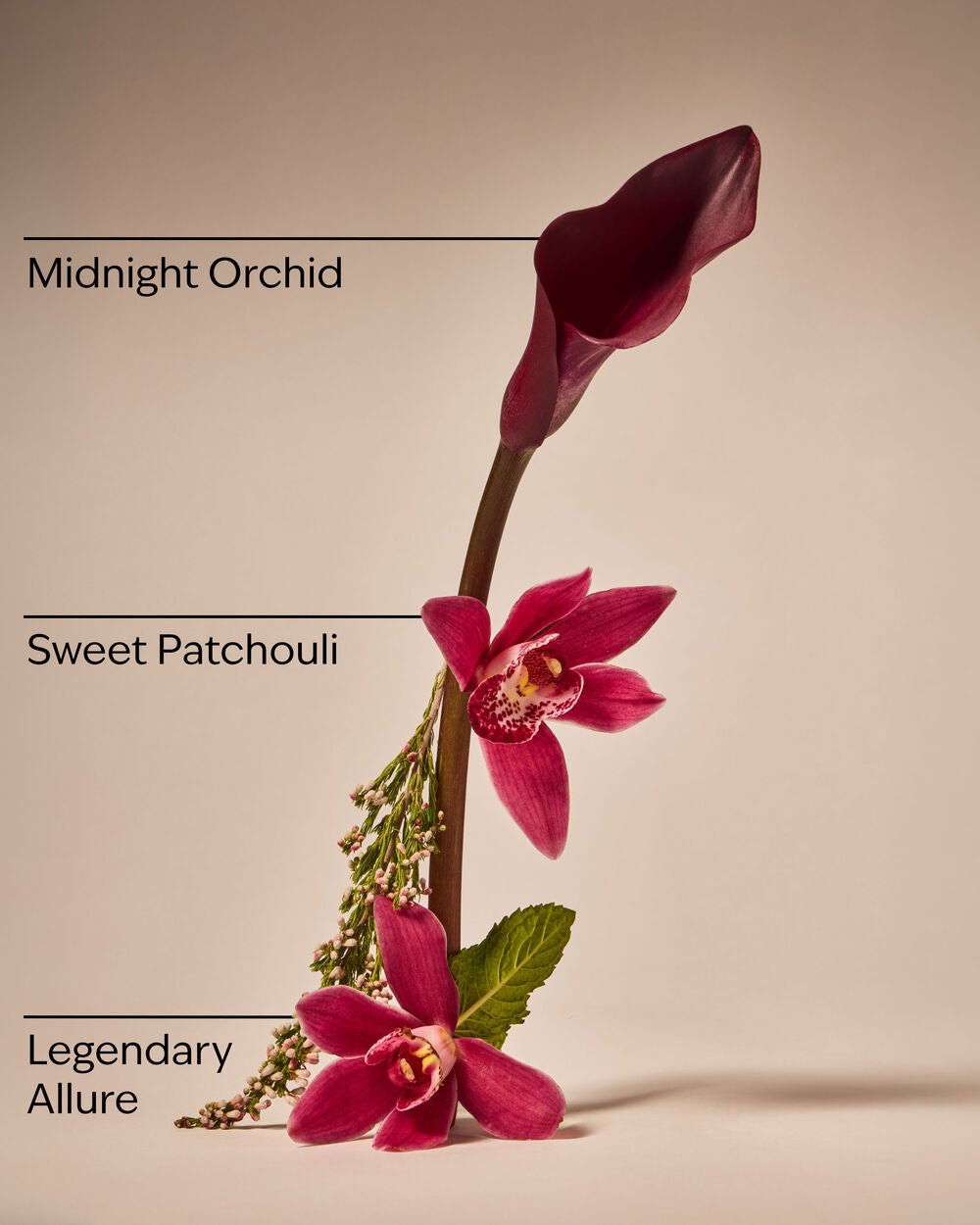 Lowkey Legend Wallflowers Fragrance Refill - Image 3