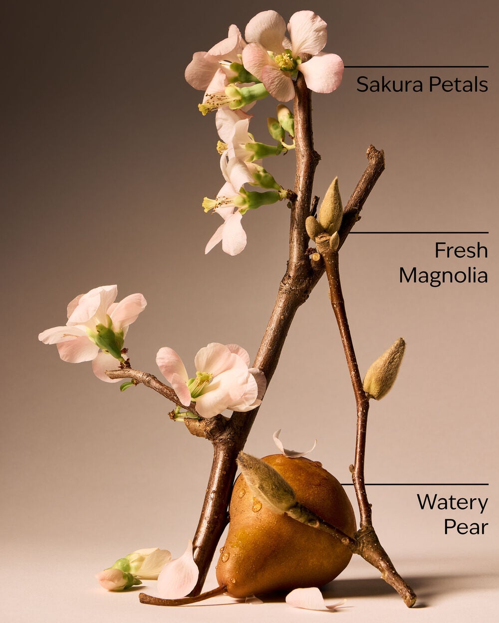 Forever Cherry Blossom Eau De Parfum - Image 3
