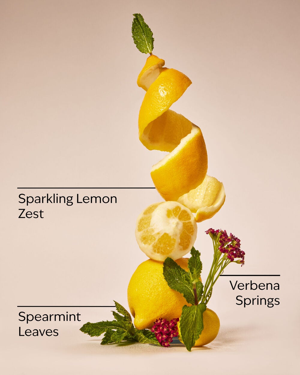 Lemon Mint Leaf 3-Wick Candle - Image 3