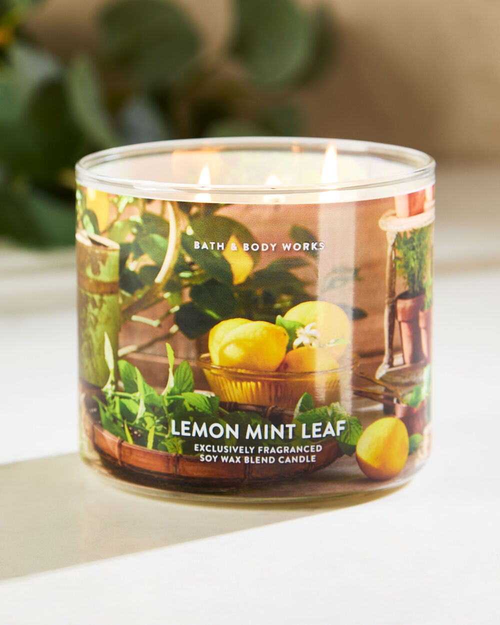 Lemon Mint Leaf 3-Wick Candle - Image 7