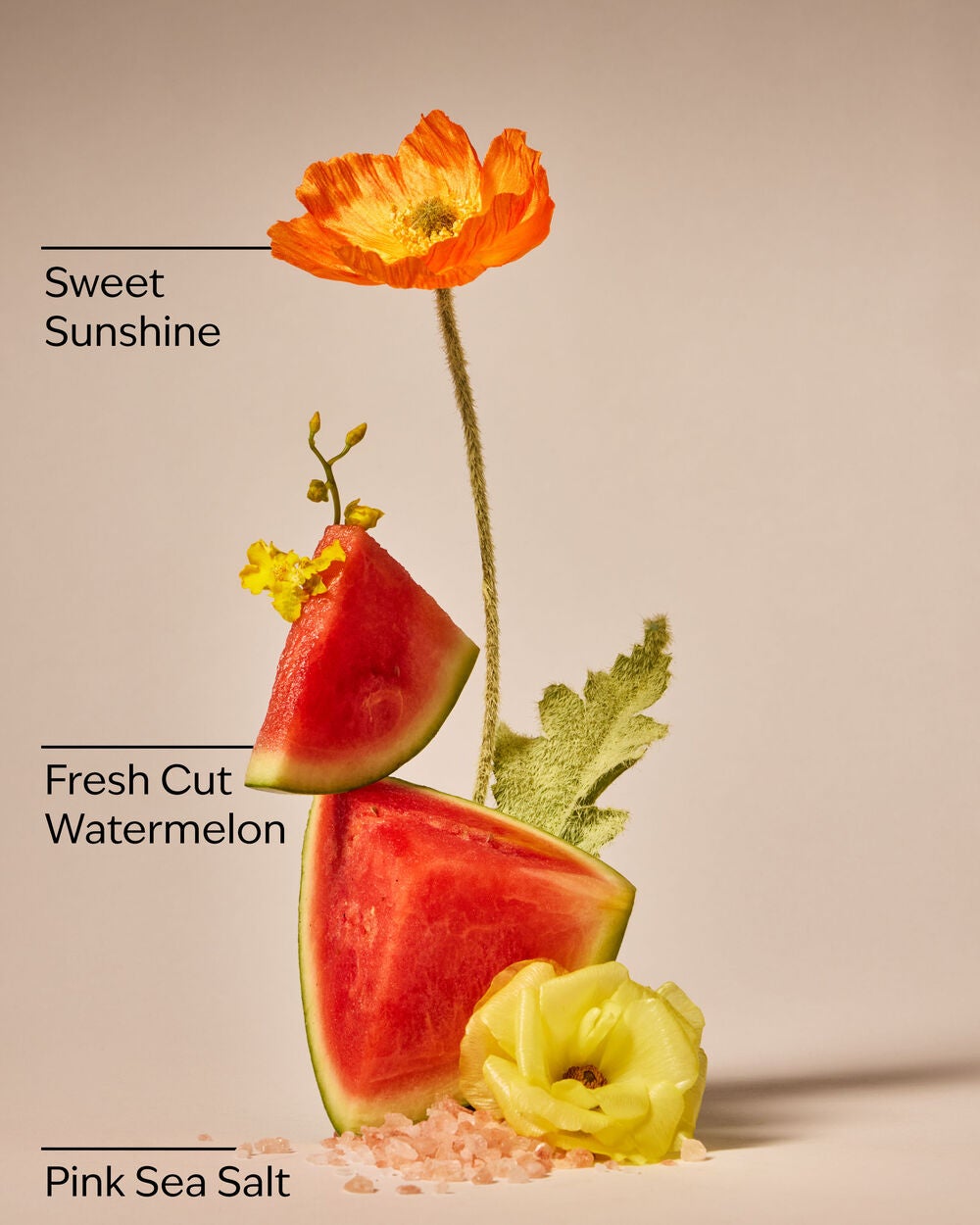 Fresh Watermelon 3-Wick Candle - Image 3