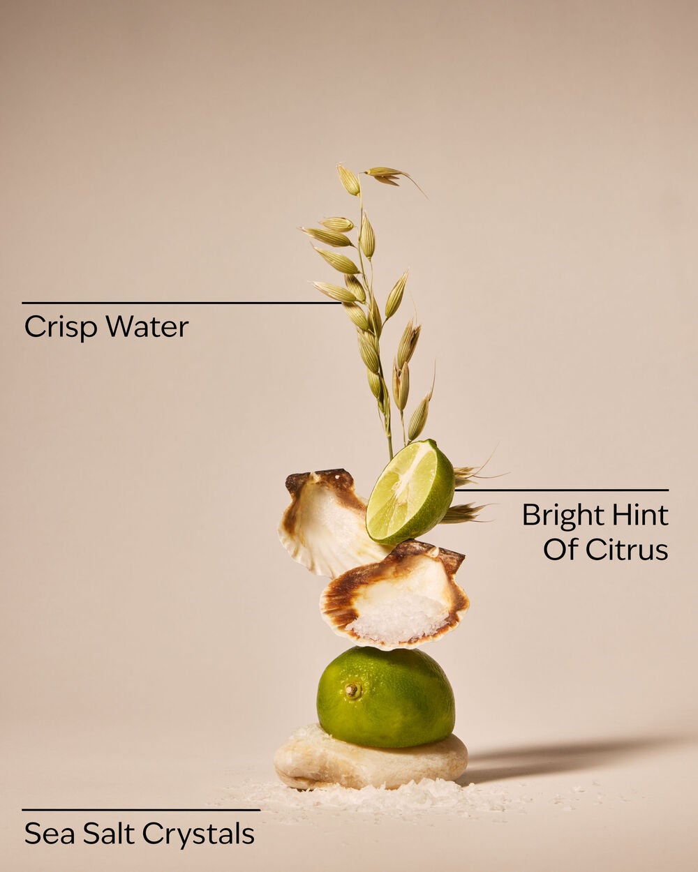 Fresh Water & Sea Salt 3-Wick Candle - Image 3