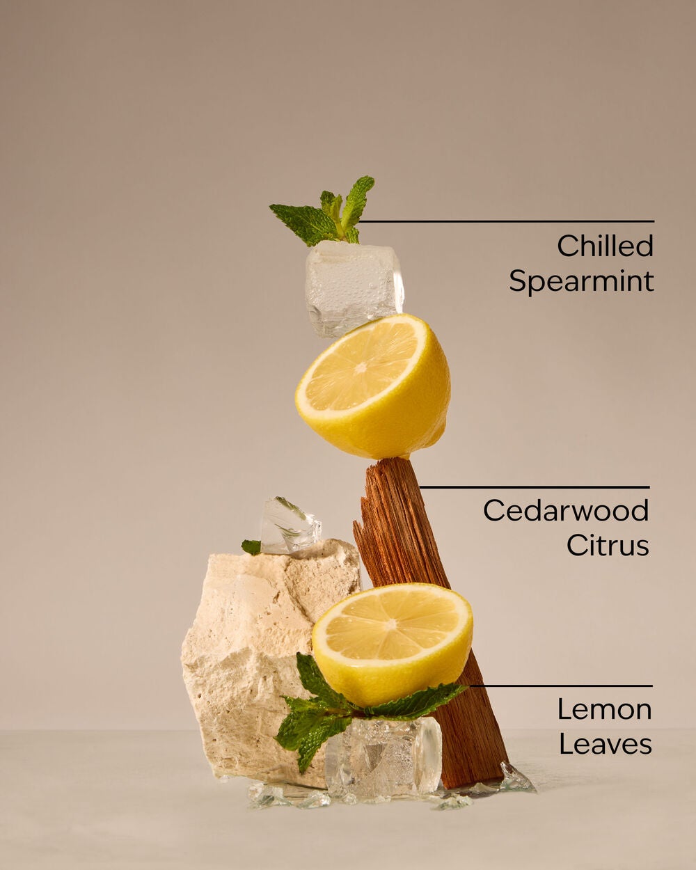 Fresh Amalfi Lemon 3-Wick Candle - Image 3