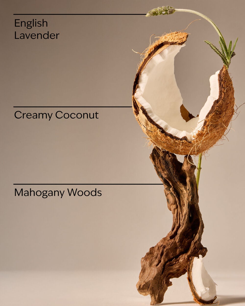 Mahogany Coconut Concentrated Room Spray - Image 3