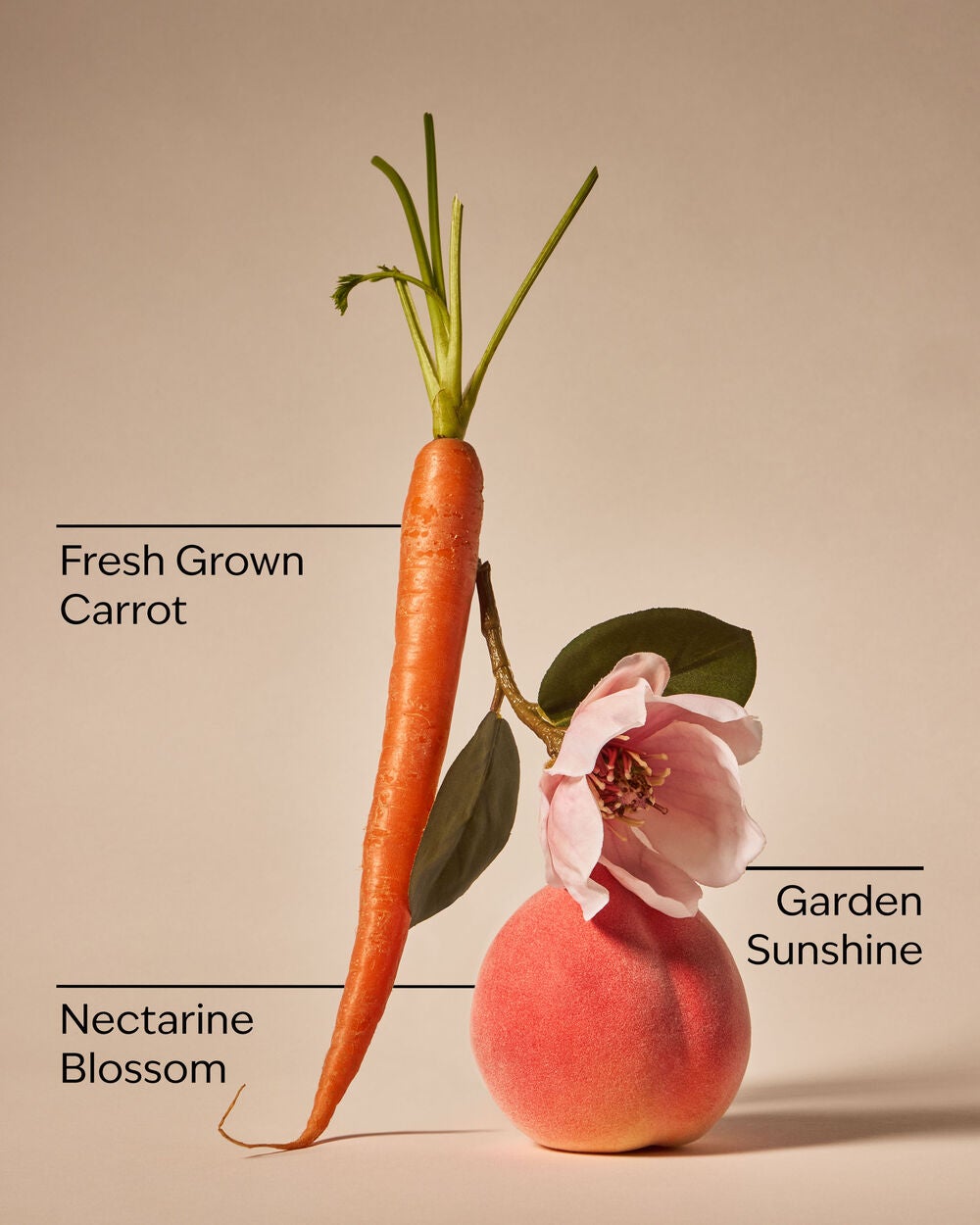 Carrot & Nectarine 3-Wick Candle - Image 3