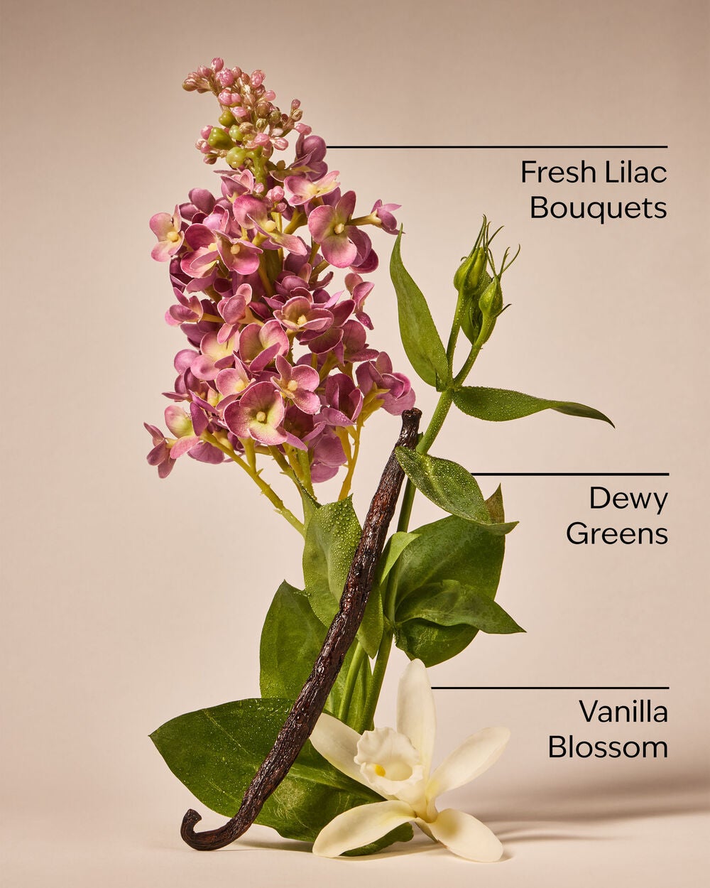 Pink Lilac & Vanilla 3-Wick Candle - Image 3