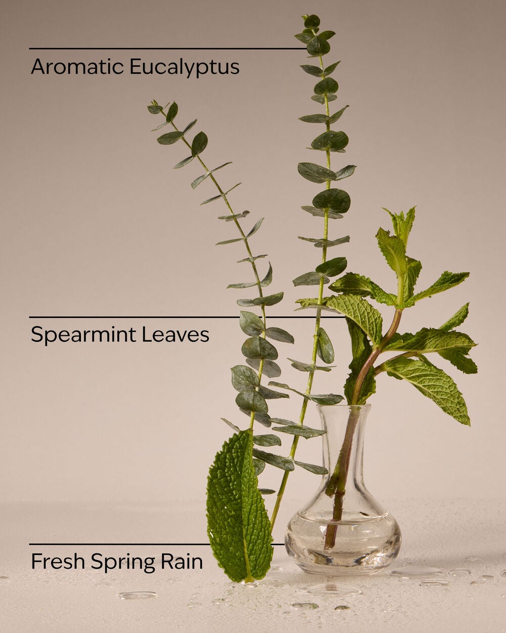 Eucalyptus Rain PocketBac Hand Sanitizer - Image 3