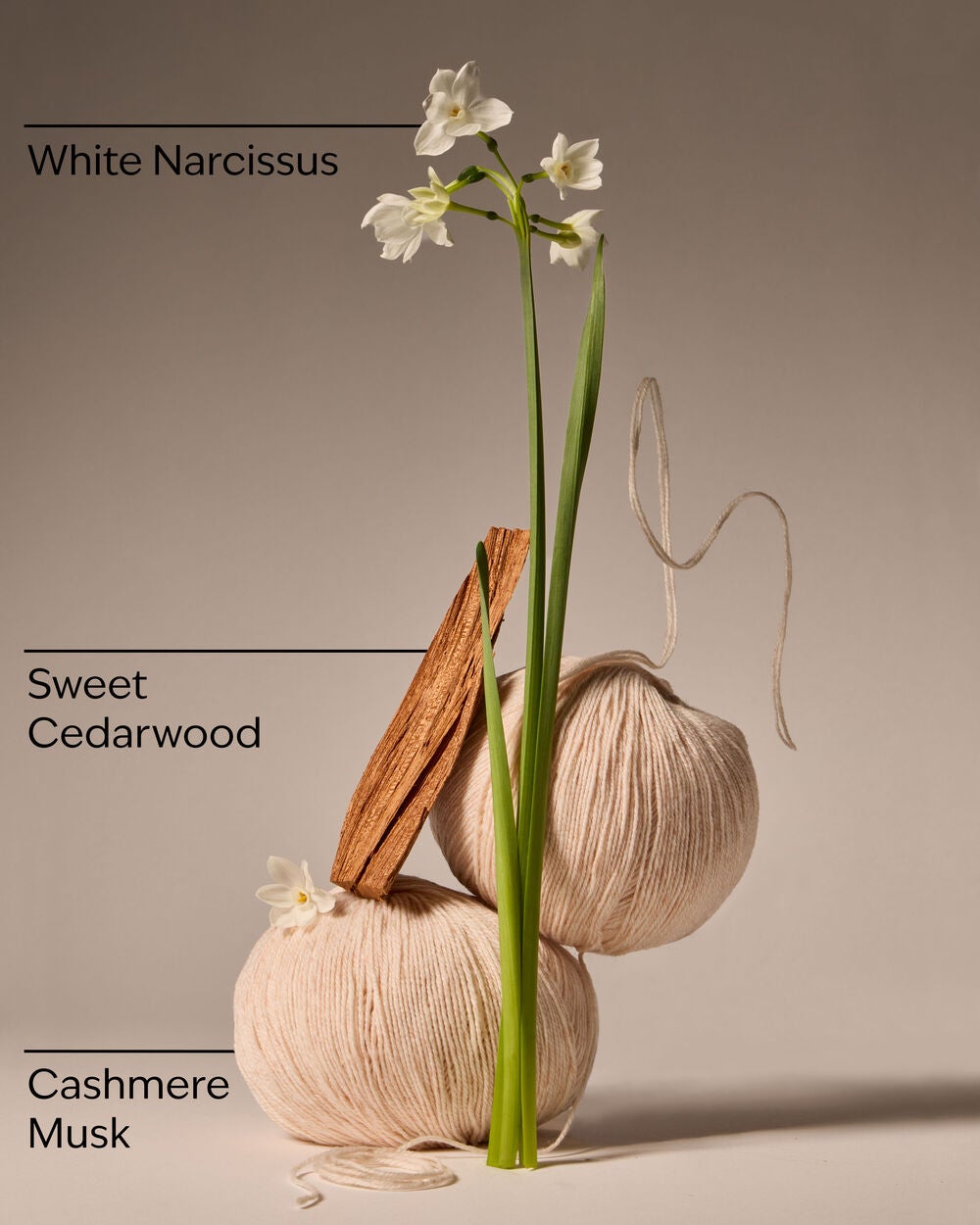 Flowerchild Wallflowers Refills 2-Pack - Image 3