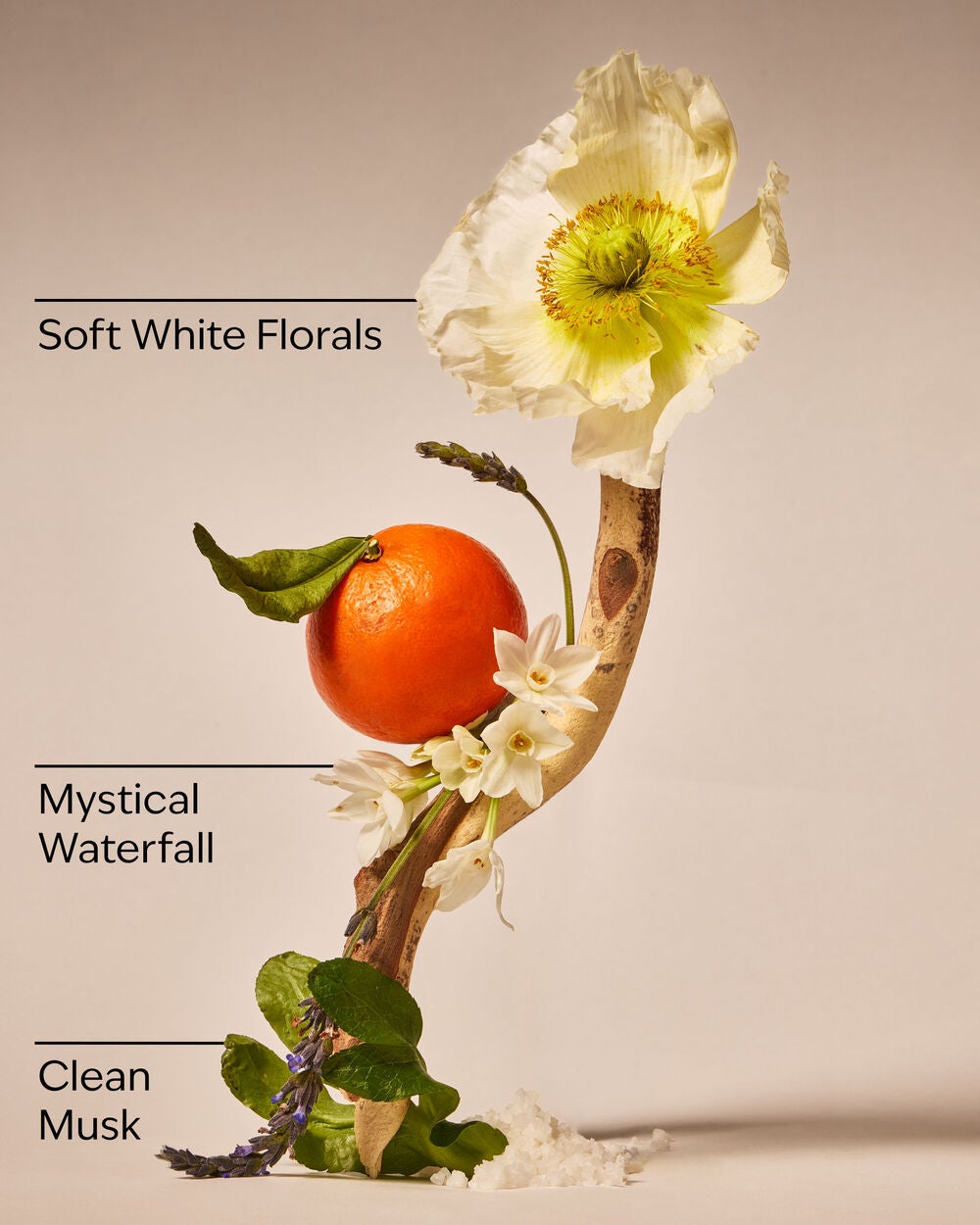 Enchanted Waterfalls Wallflowers Refills 2-Pack - Image 3