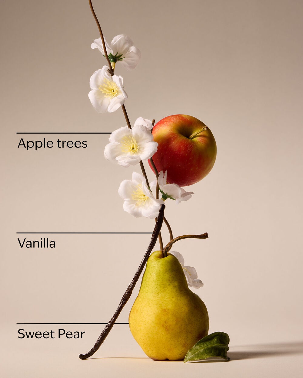 Spring Apple Wallflowers Fragrance Refill - Image 3