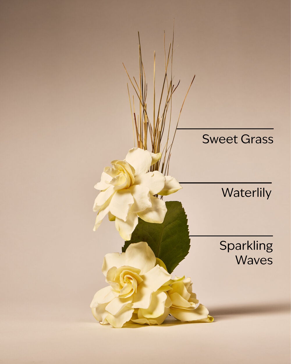 Seagrass Serenity Wallflowers Refills 2-Pack - Image 3