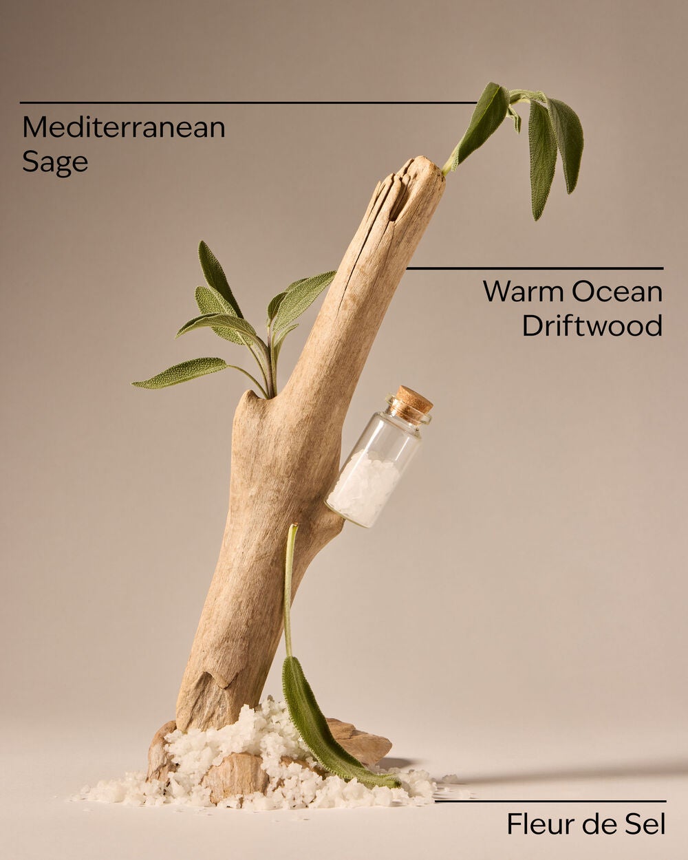 Sea Salt & Driftwood Concentrated Room Spray - Image 3