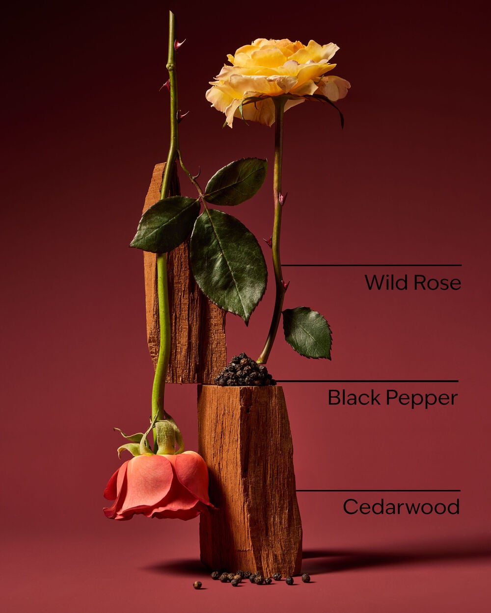 Nocturnal Rose Concentrated Room Spray - Image 3