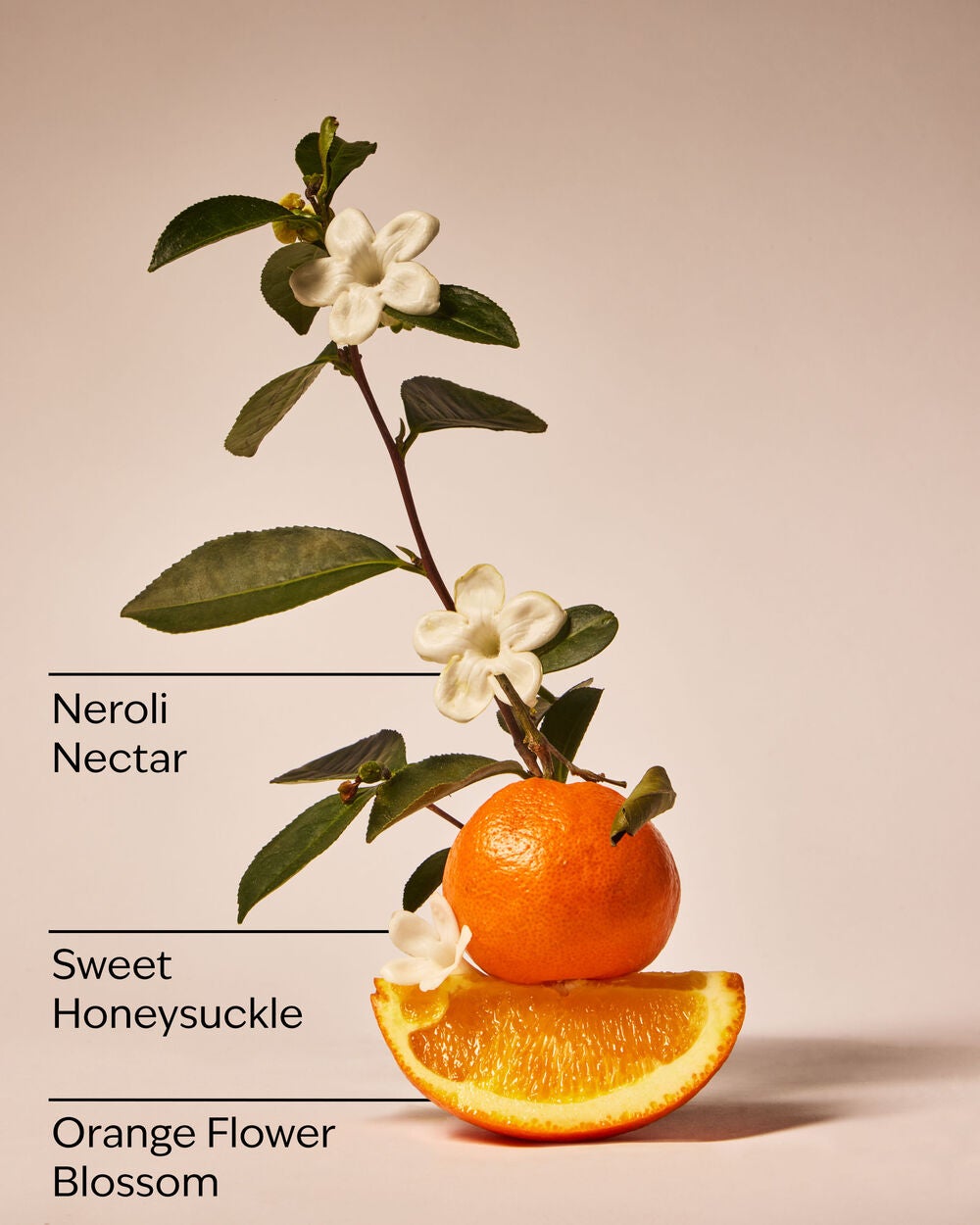 Backyard Honeysuckle Concentrated Room Spray - Image 3