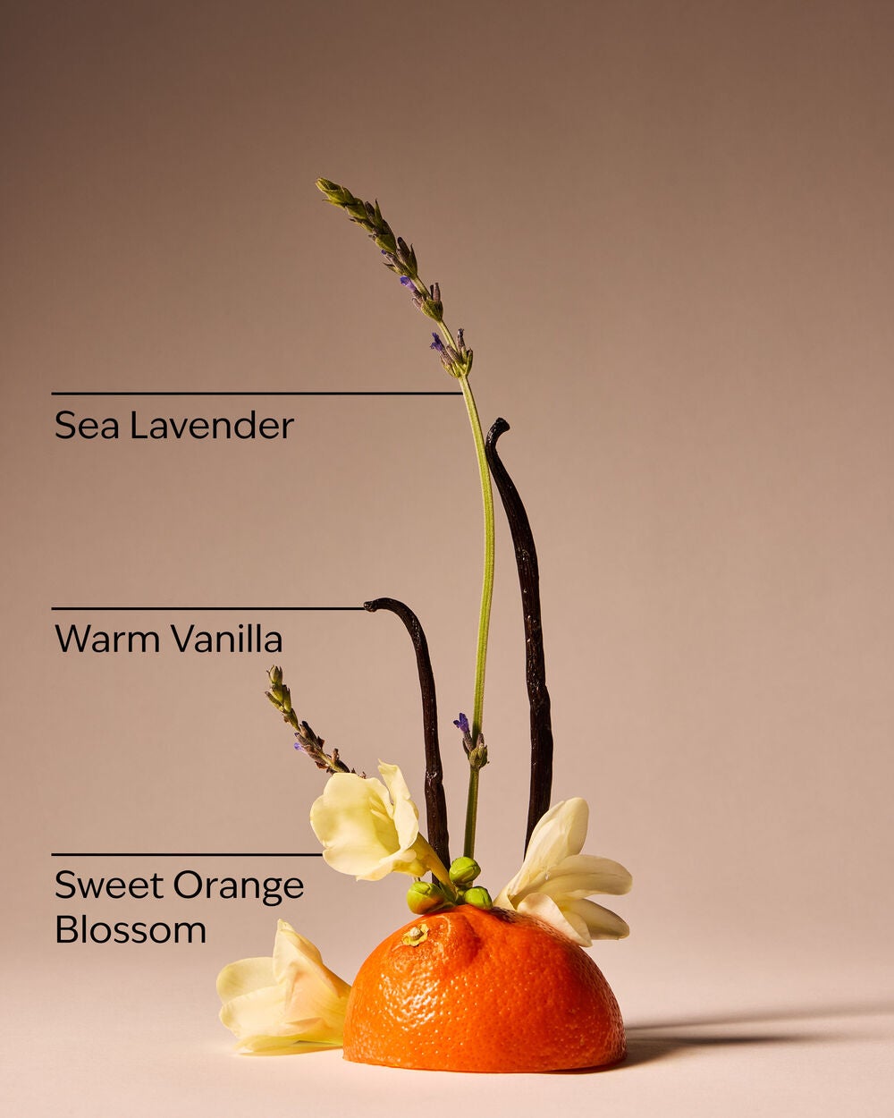 Sweet Orange Blossom Gentle & Clean Foaming Hand Soap - Image 3
