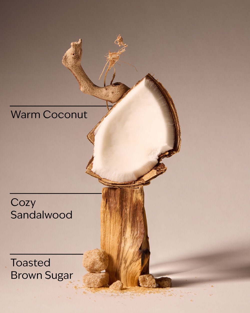 Brown Sugar & Coconut Revitalizing Gel Hand Soap - Image 3