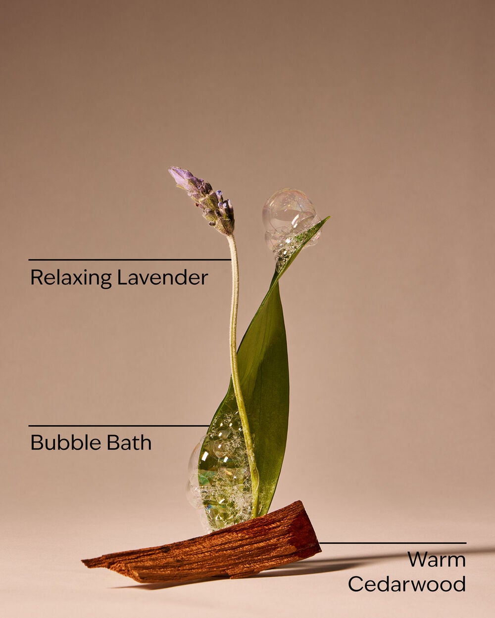 Spa Day For Mom Wallflowers Fragrance Refill - Image 3