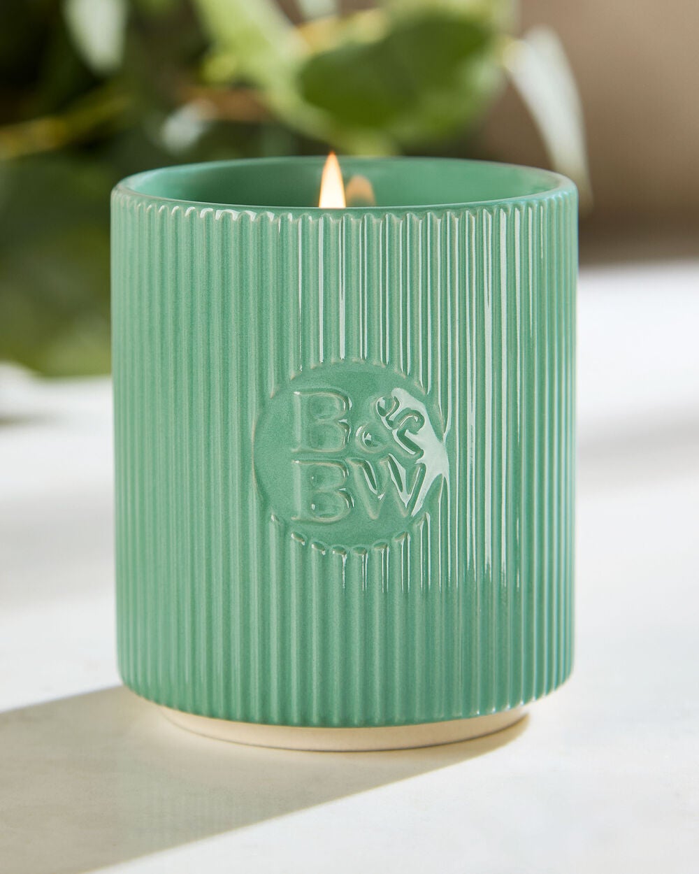 White Tea & Sage Single Wick Candle - Image 6